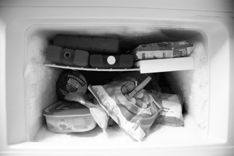 zwart-wit foto van diepvries met koelelementen en voedsel